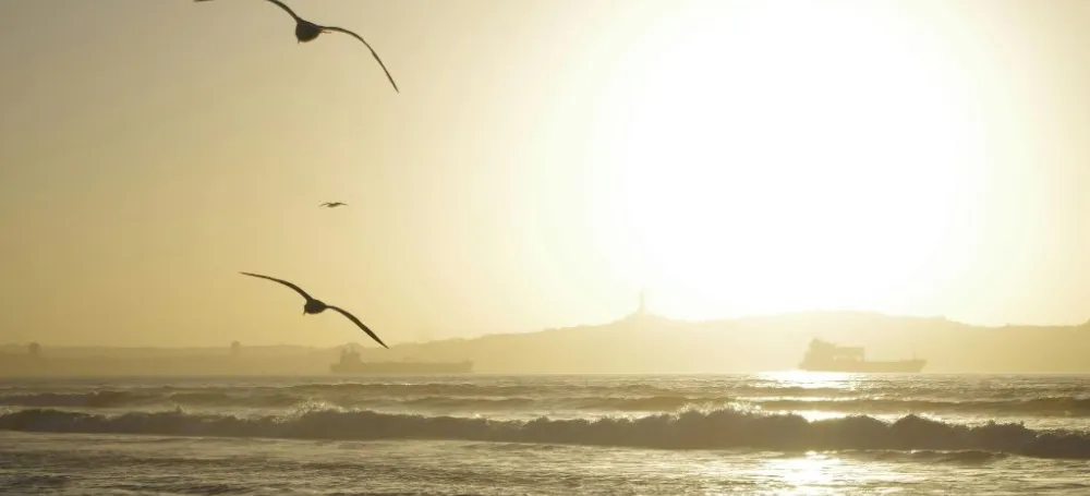 ¿Buscas vivir cerca del mar? Estos son los beneficios