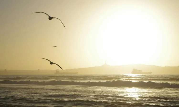 ¿Buscas vivir cerca del mar? Estos son los beneficios